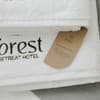 Рекреационный комплекс Forest Retreat Center. Стандарт одноместный Forest Medical 7